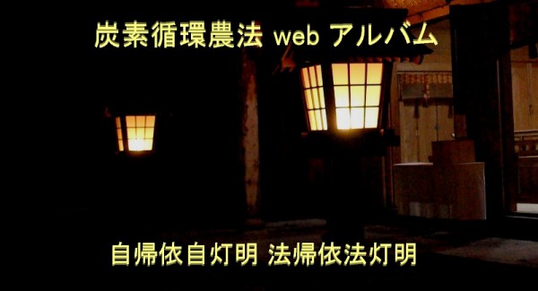 tomyo