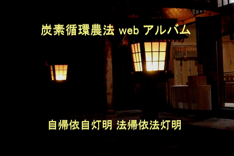 tomyo
